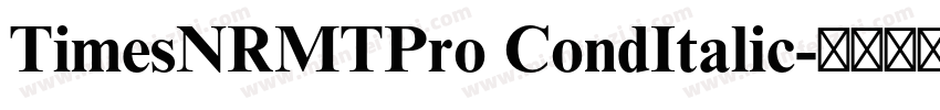 TimesNRMTPro CondItalic字体转换